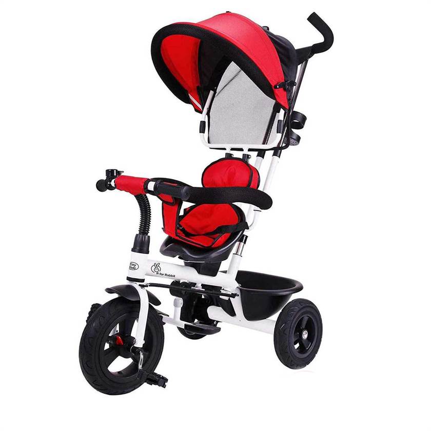 R FOR RABBIT Tiny Toes Striker - The Tricycle for Baby Kids with Striking Looks and Reversible Seat 1.5 to 5 Years.