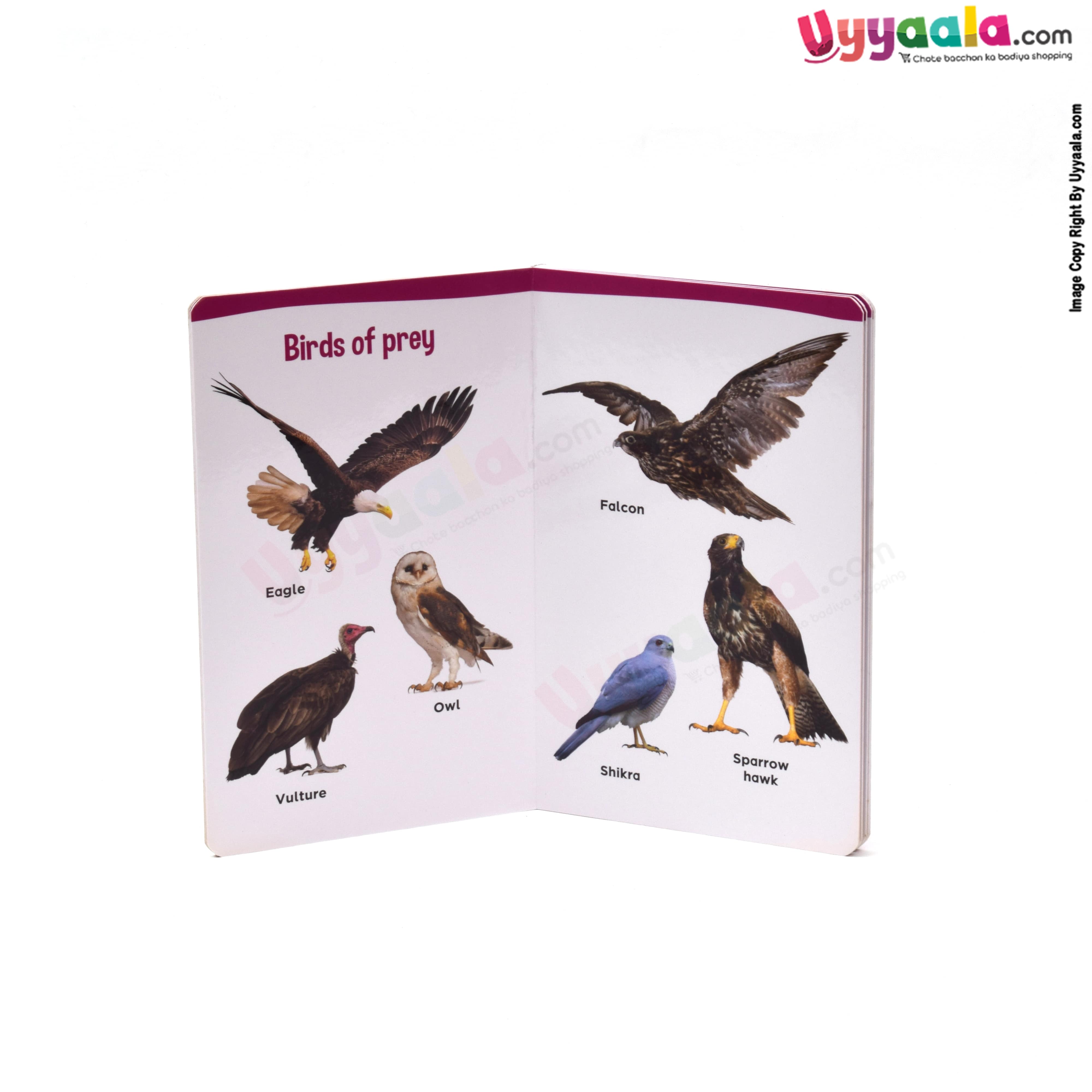 My small board book pack of 2 - birds & numbers