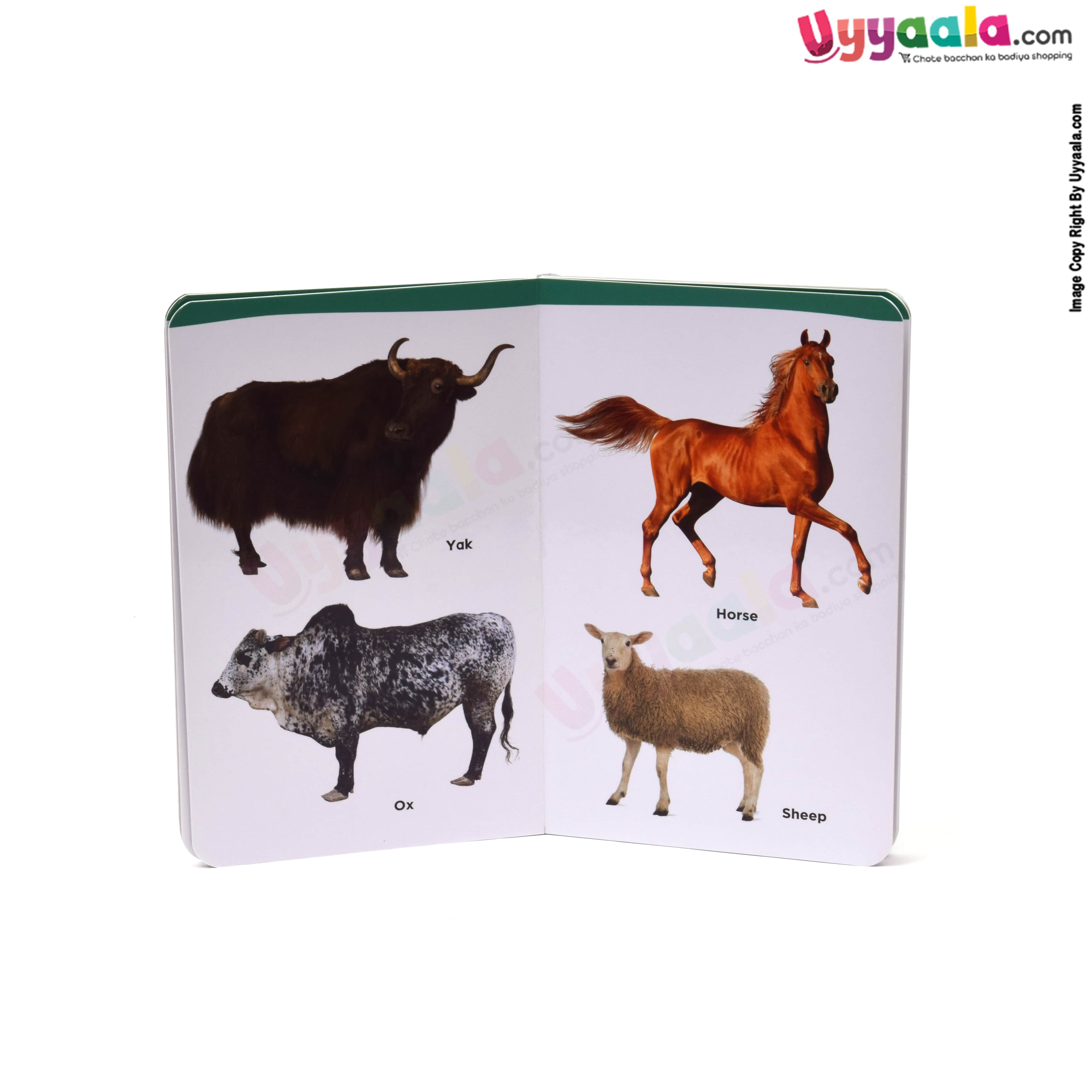 My small board book pack of 2 - domestic & aqua animals & numbers