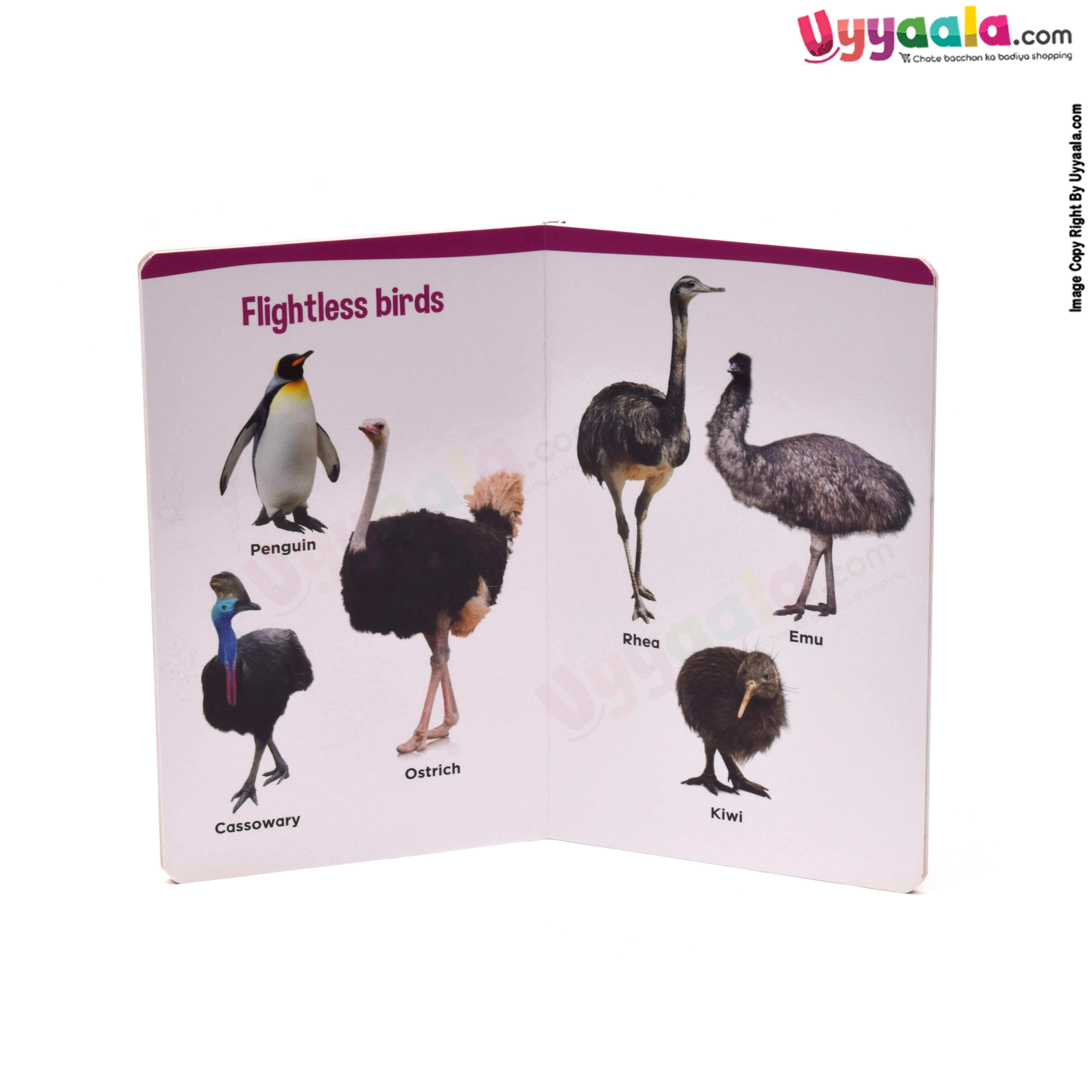 My small board book pack of 2 - birds & alphabet