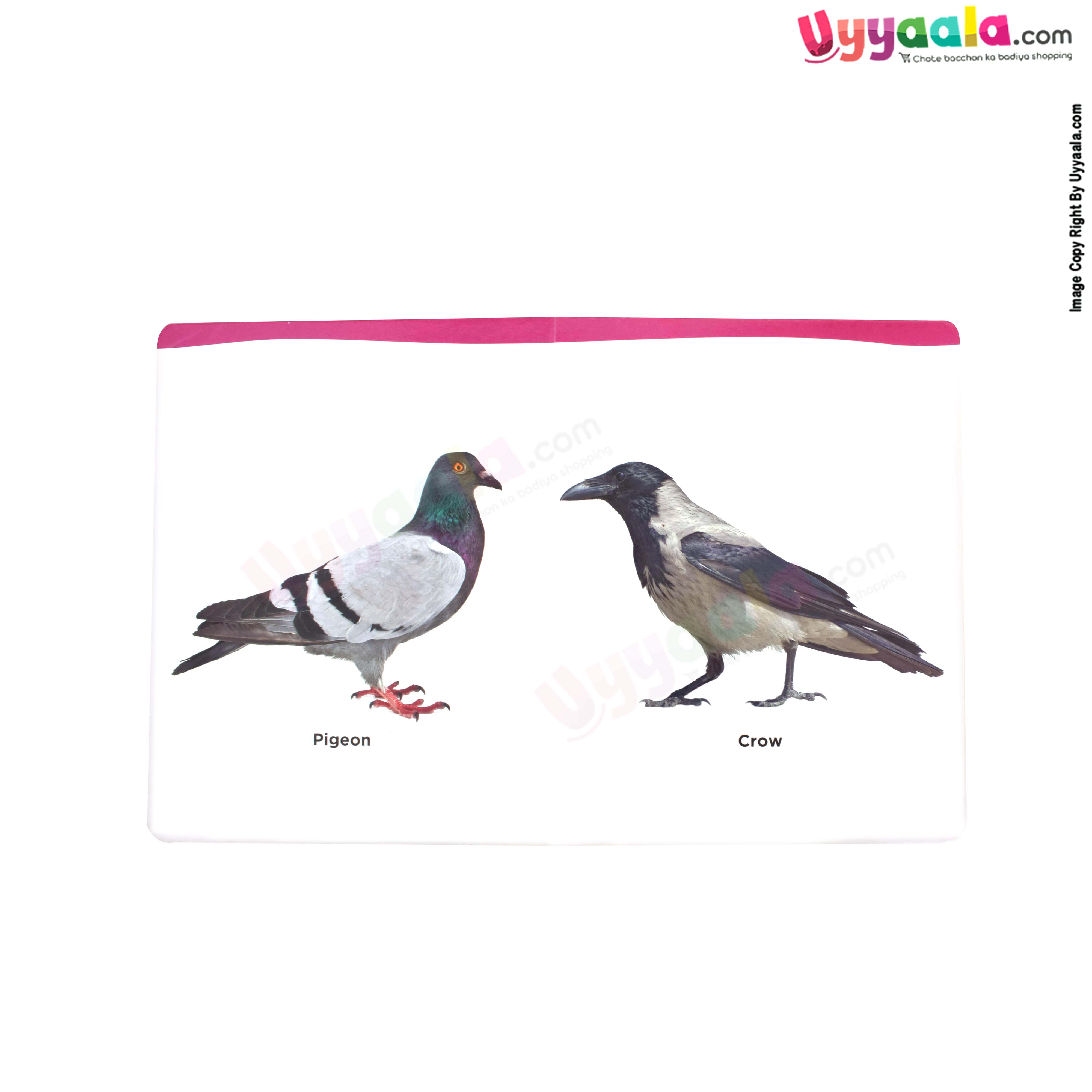 NAVNEET my first board book birds