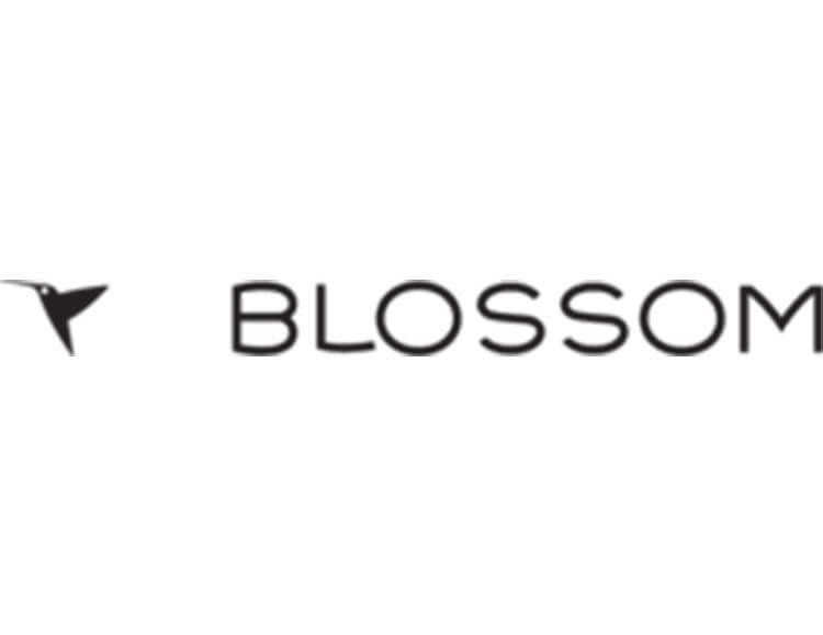 Blossom Maternity Panties - Buy soft cotton Blossom Maternity Panties Online in India