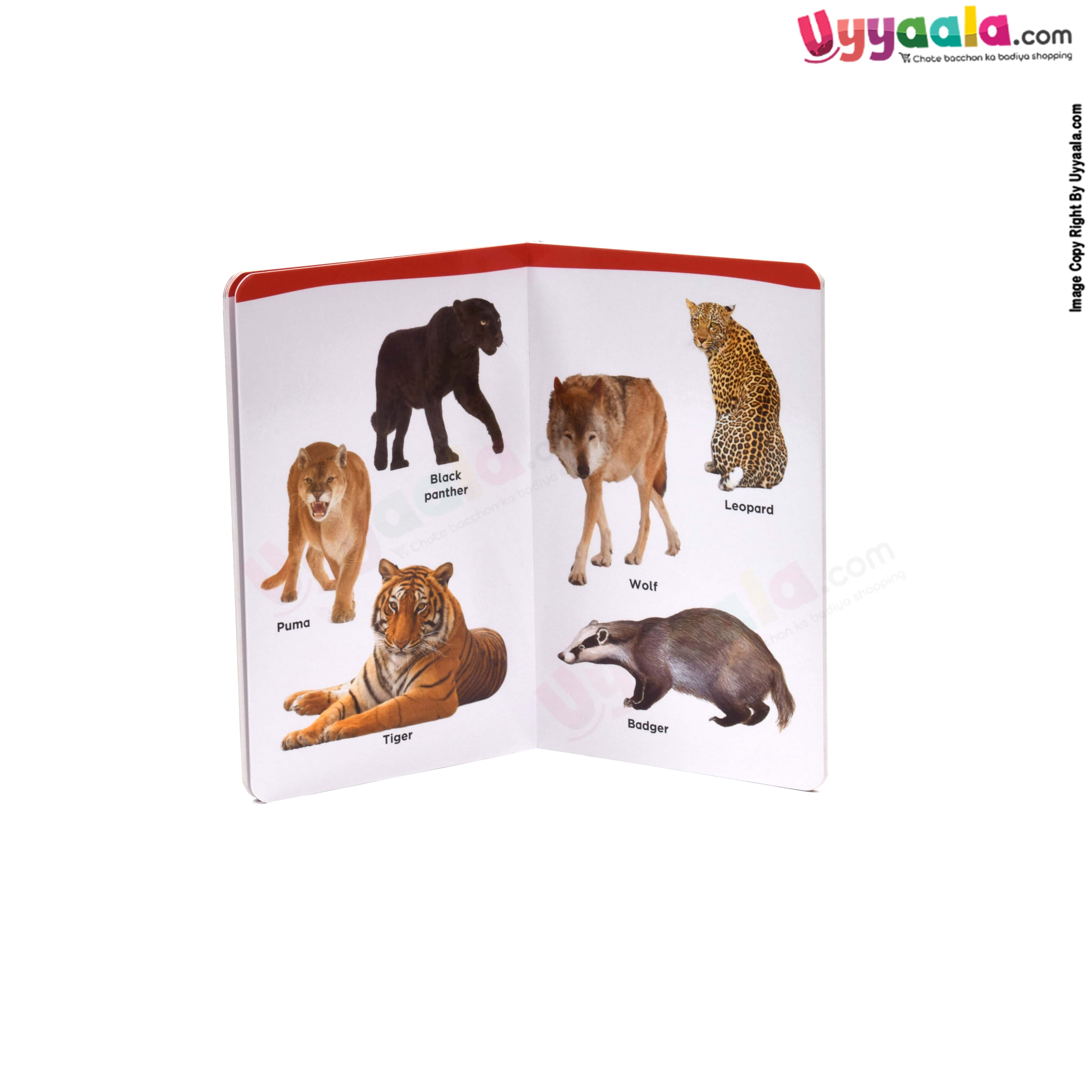 My small board book pack of 2 - wild animals & alphabet