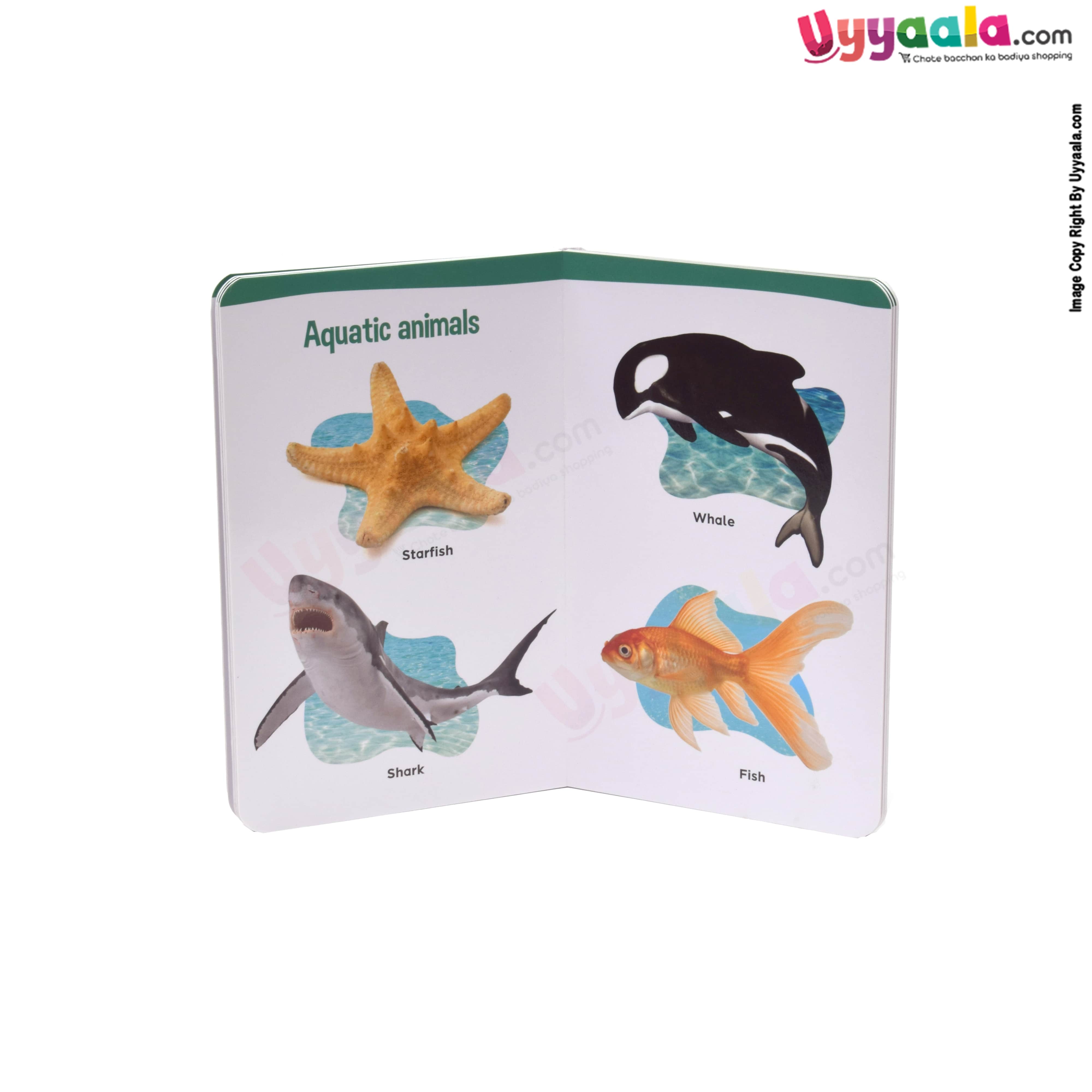 My small board book pack of 2 - domestic & aqua animals & alphabet