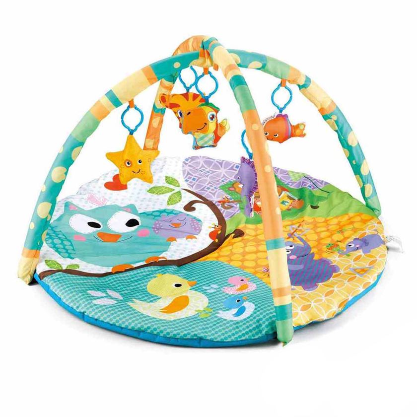 R FOR RABBIT First Play Tweet Play Gym for 2 Month Plus Babies - Multi-Color